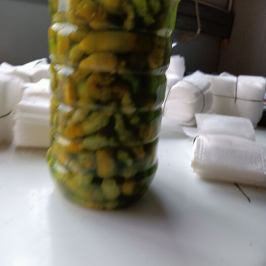 夏邑县豆虫  豆丹，活豆丹，老幼虫，豆丹蛹