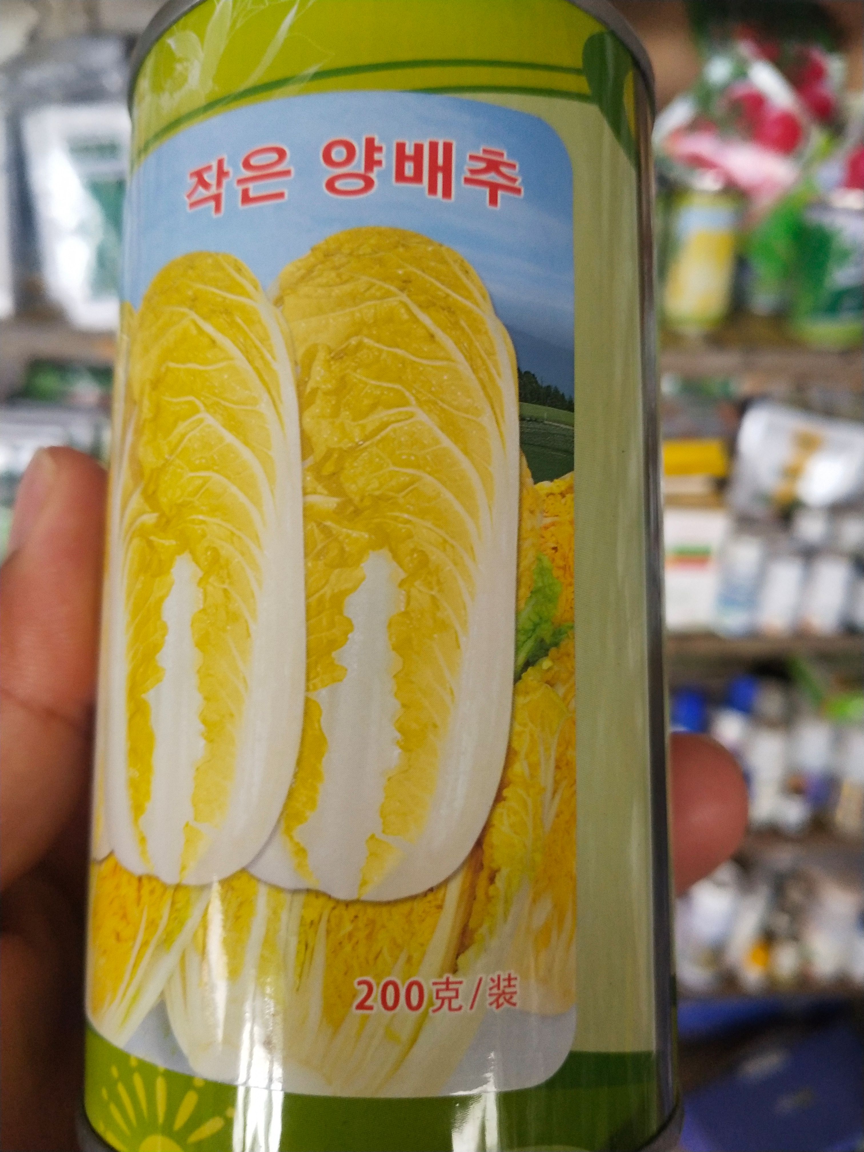 娃娃菜种子 早熟 紧实 每桶2亩