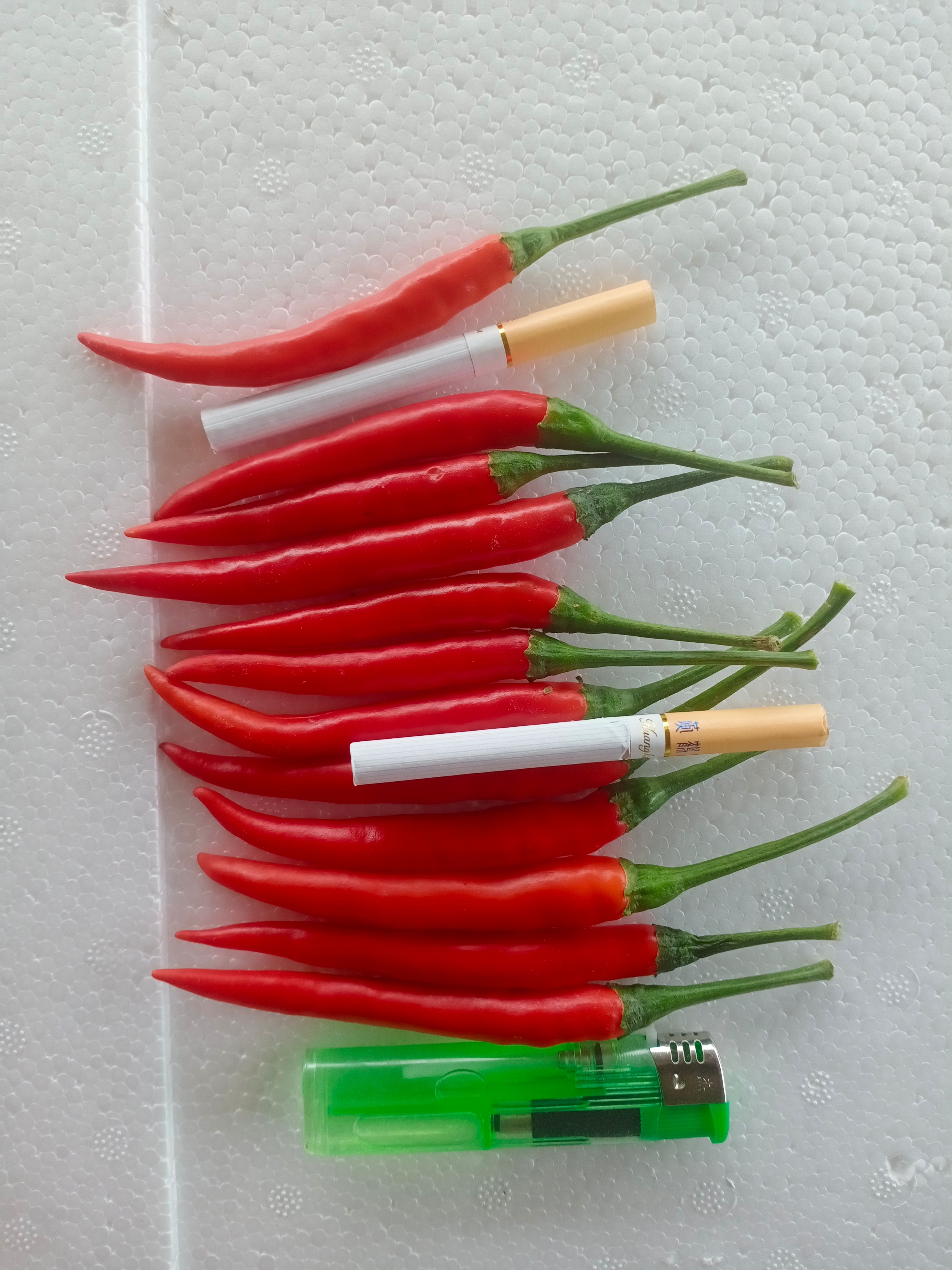 霞光果蔬 精品米椒 产地直供