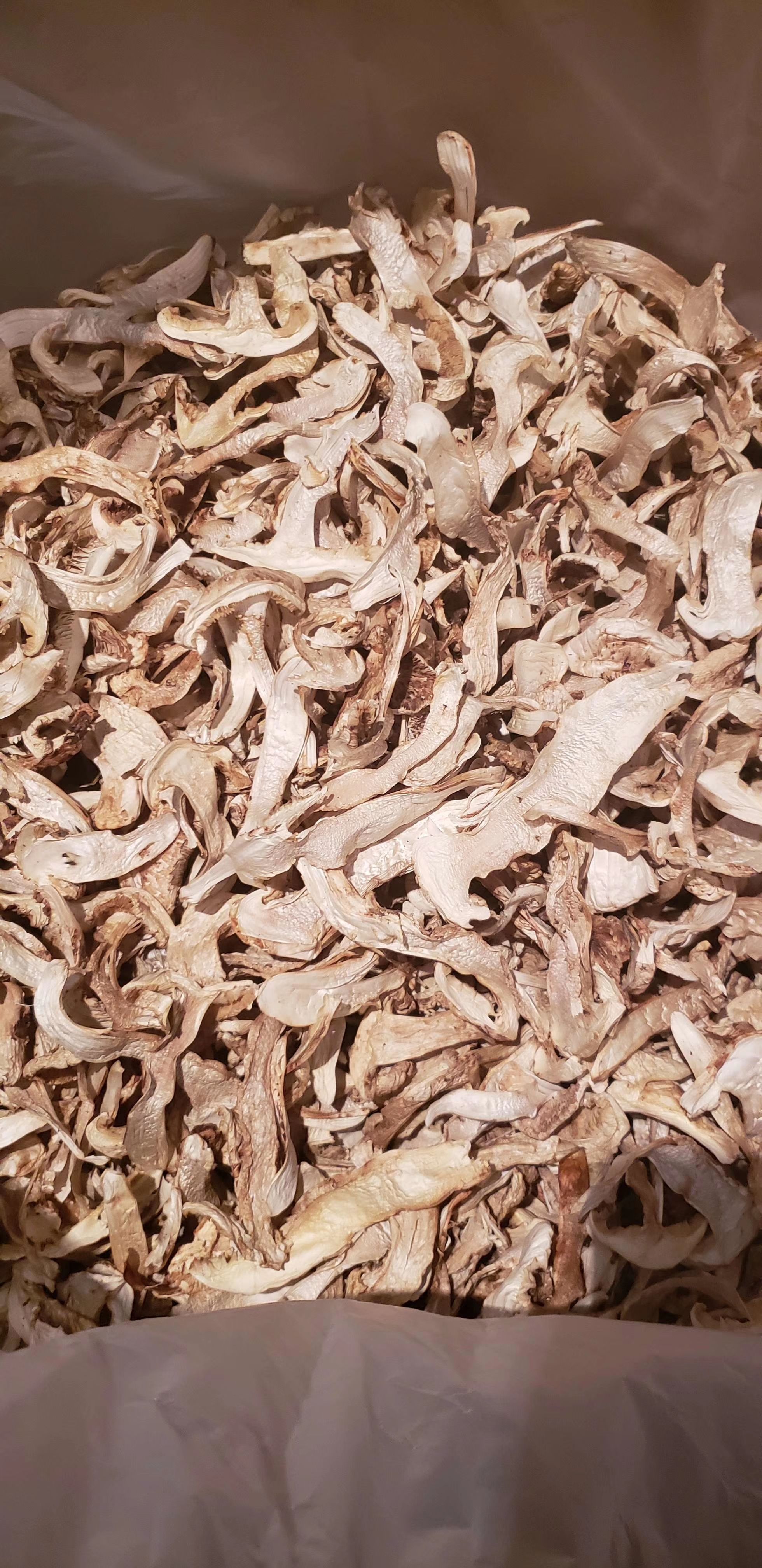 干松茸 稻城松茸干片