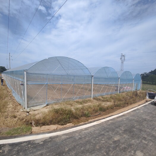 无锡厂家建造智能连栋温室农业育苗种植大棚热镀锌钢管骨架材料及配件