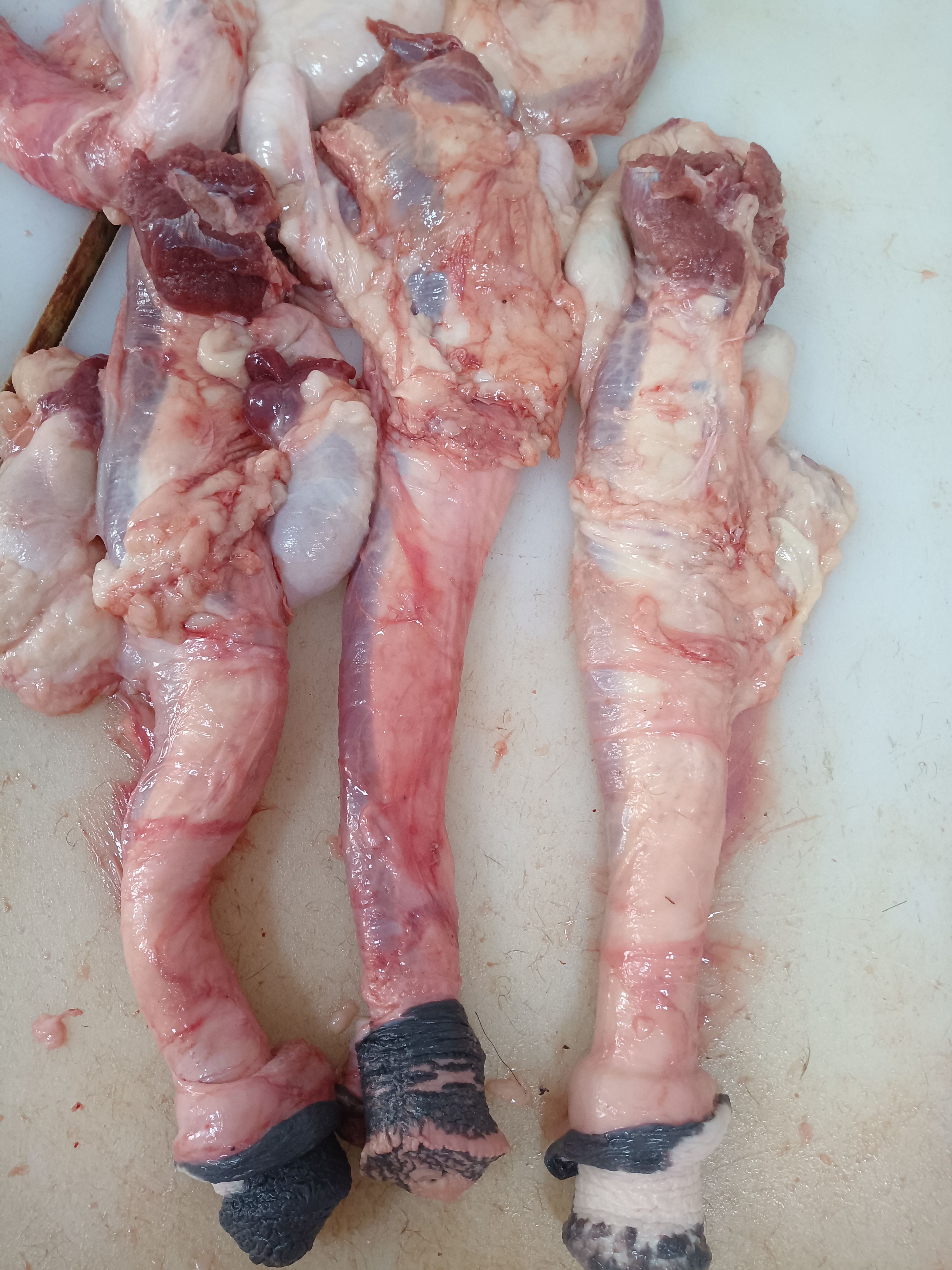 驴鞭@新鲜生驴鞭@现杀驴鞭