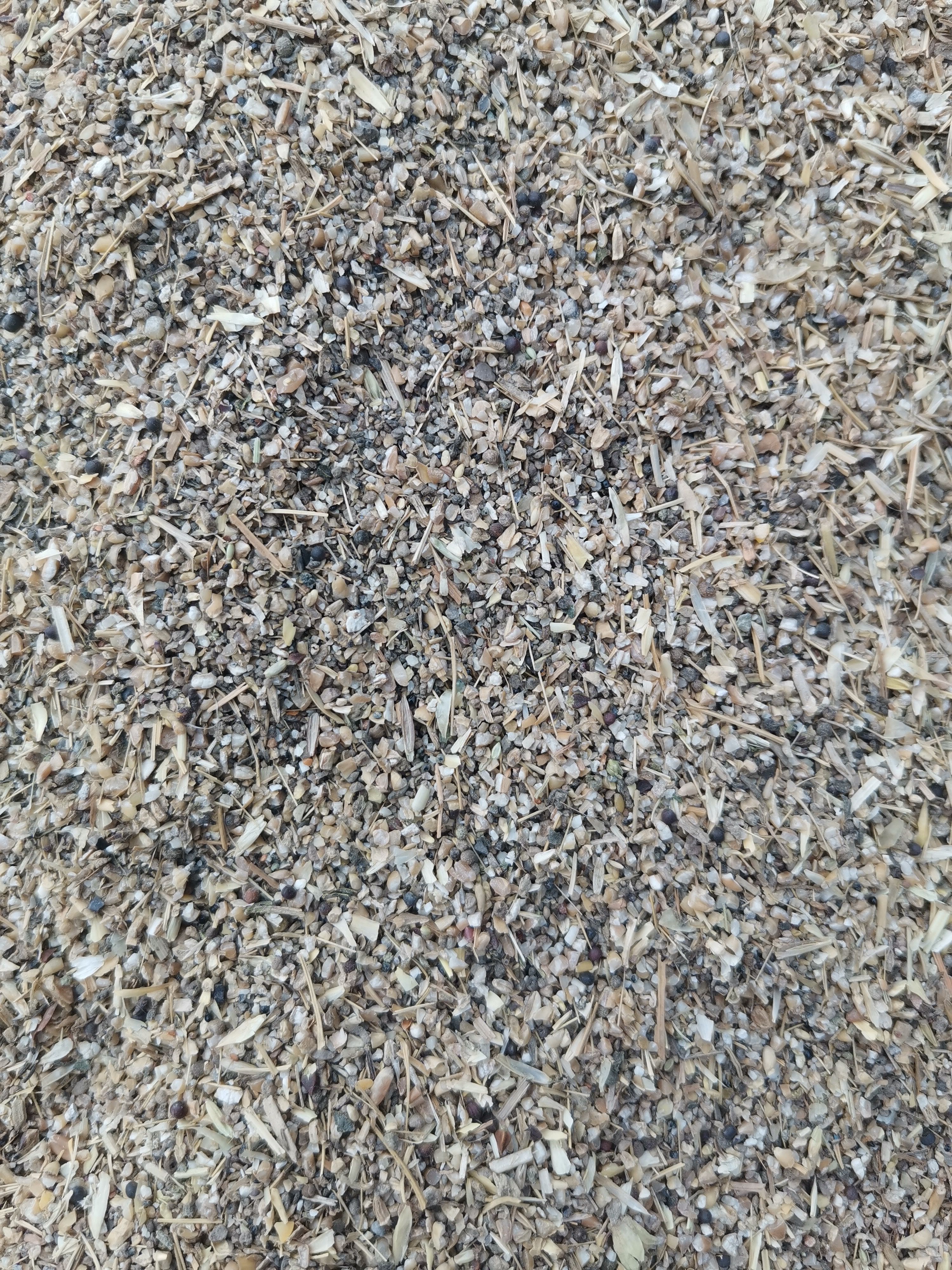 碎麦 草籽麦