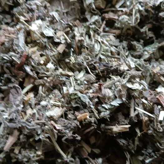 亳州蕲艾  艾叶 切断0.5-0.8