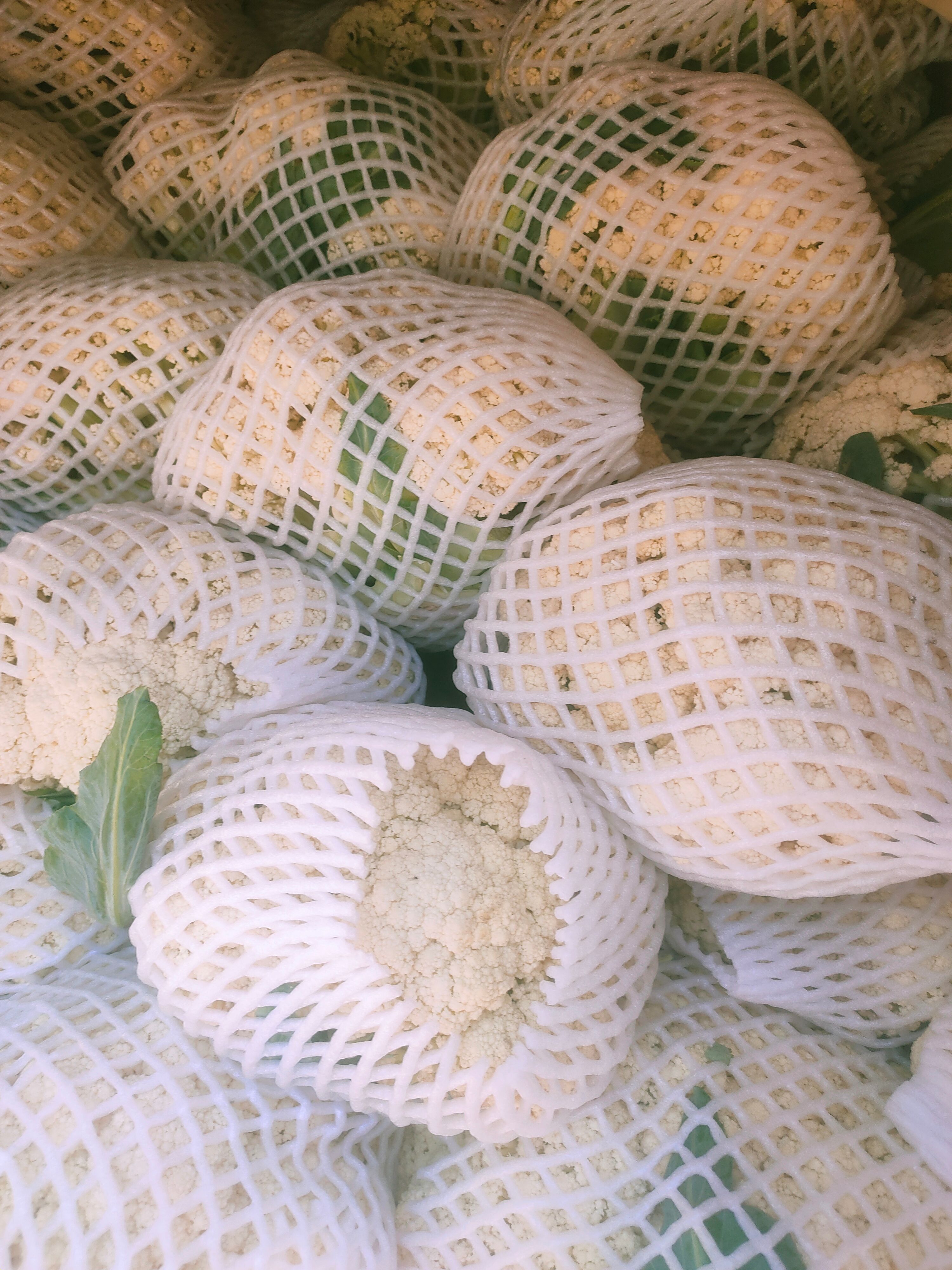 白花菜花 大量菜花上市，欢迎新朋友一起发财致富！