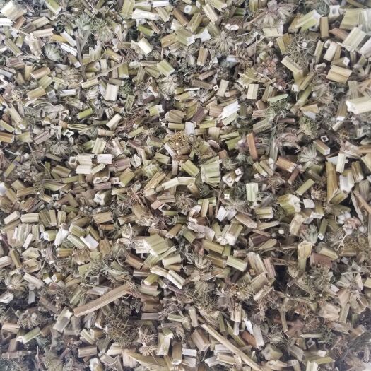 定兴县 益母草