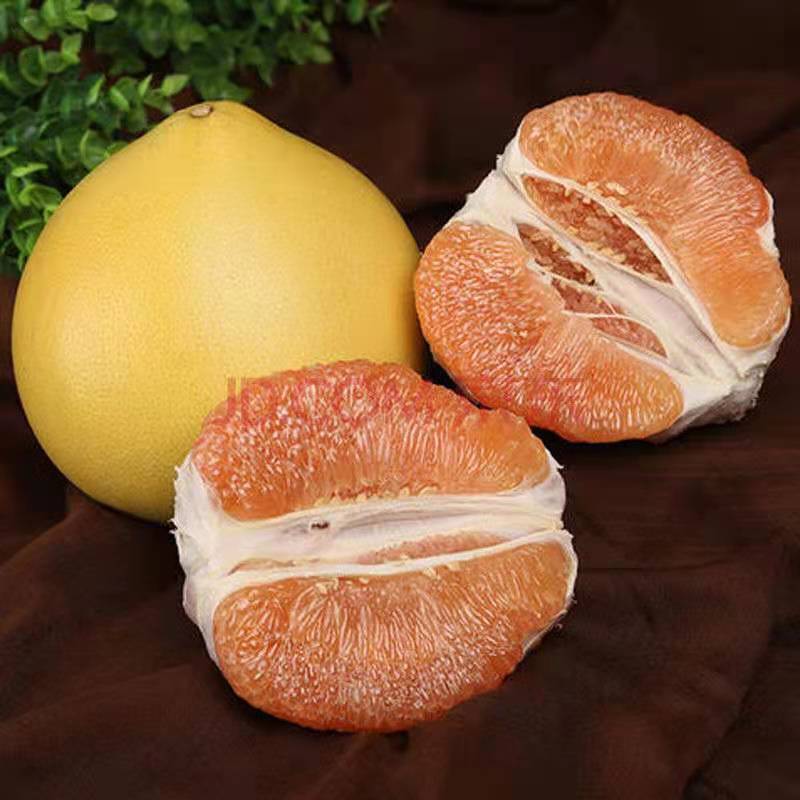  梅州蜜柚现摘现发坏果包赔