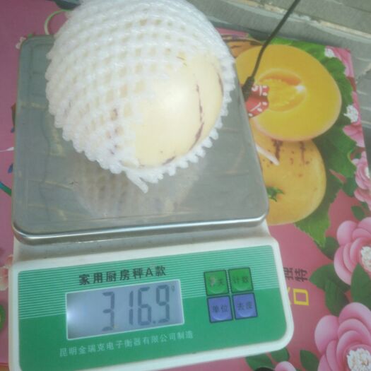 石林县 云南人参果九分熟富晒清甜树上熟