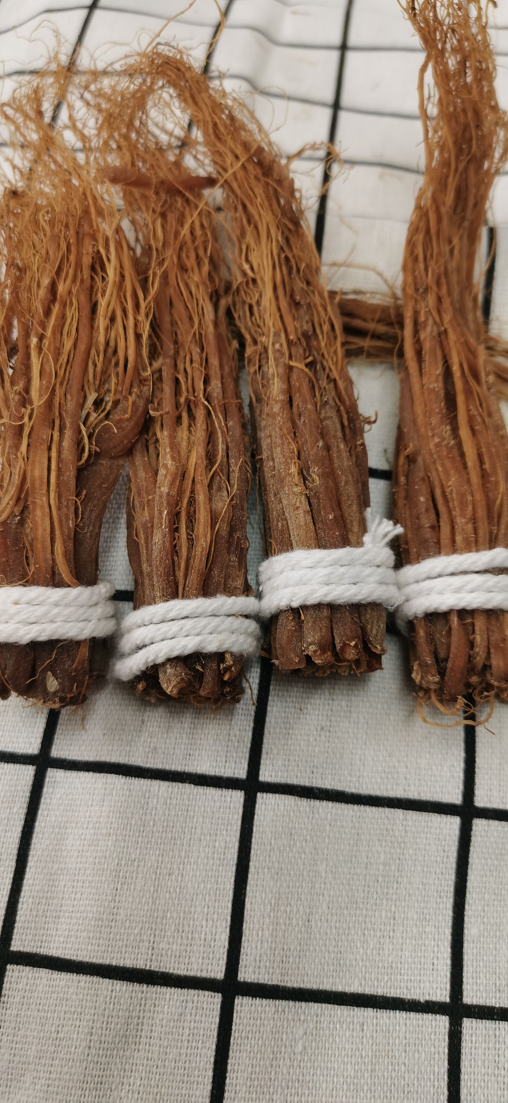 高丽参  红参须