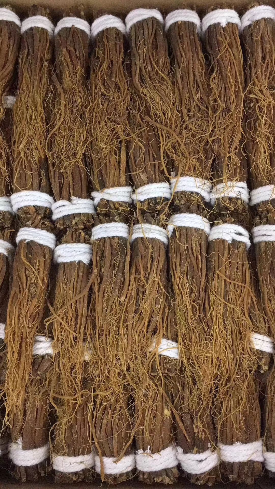 高丽参  红参须