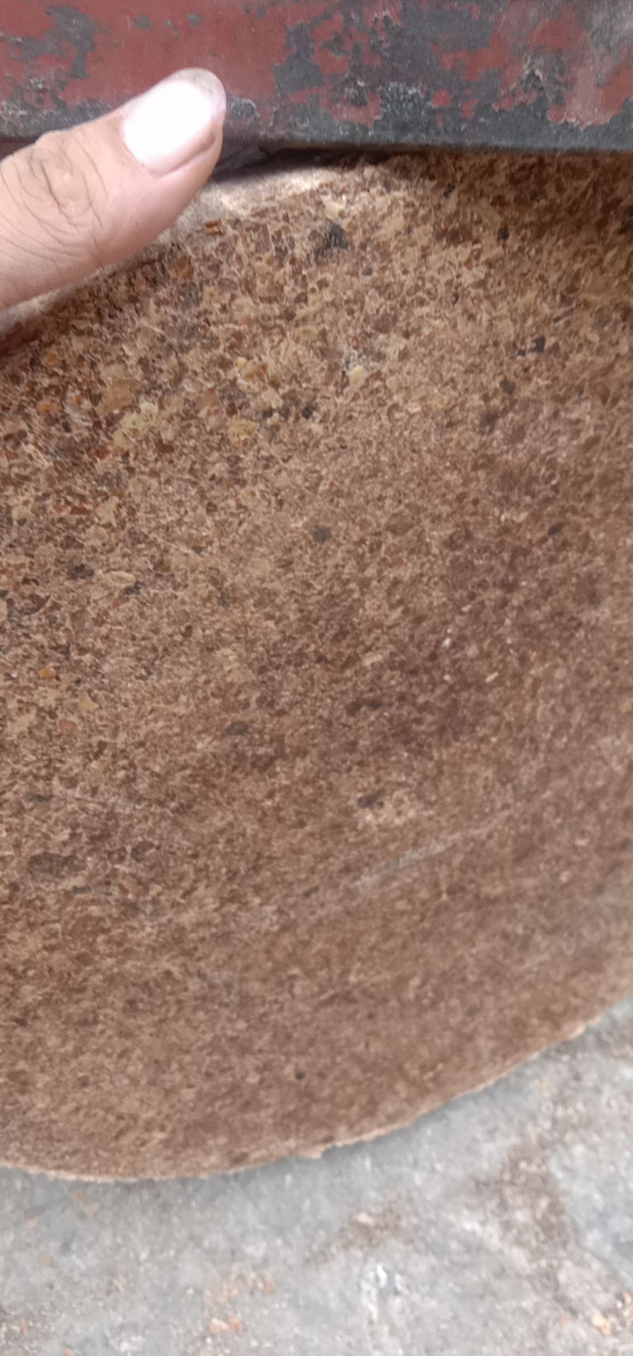 蛋白质补充饲料 鸡 鸭 鹅 猪 牛 羊 马 兔 鸽子 鱼 虾