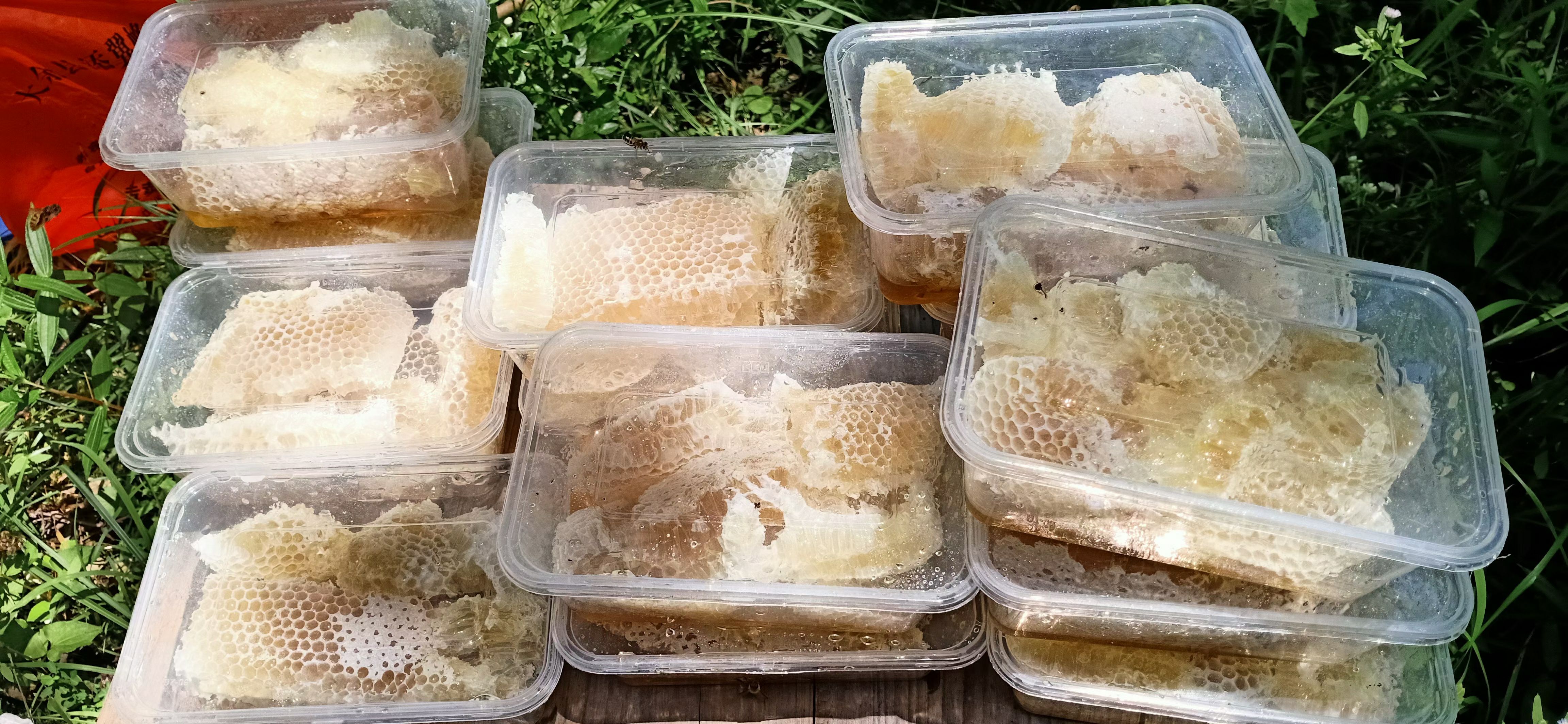 纯中蜂蜂蜜，百花蜜，冬百花蜜。