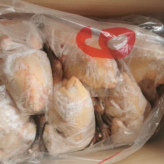 阳谷县鸡肉类  青脚麻鸡