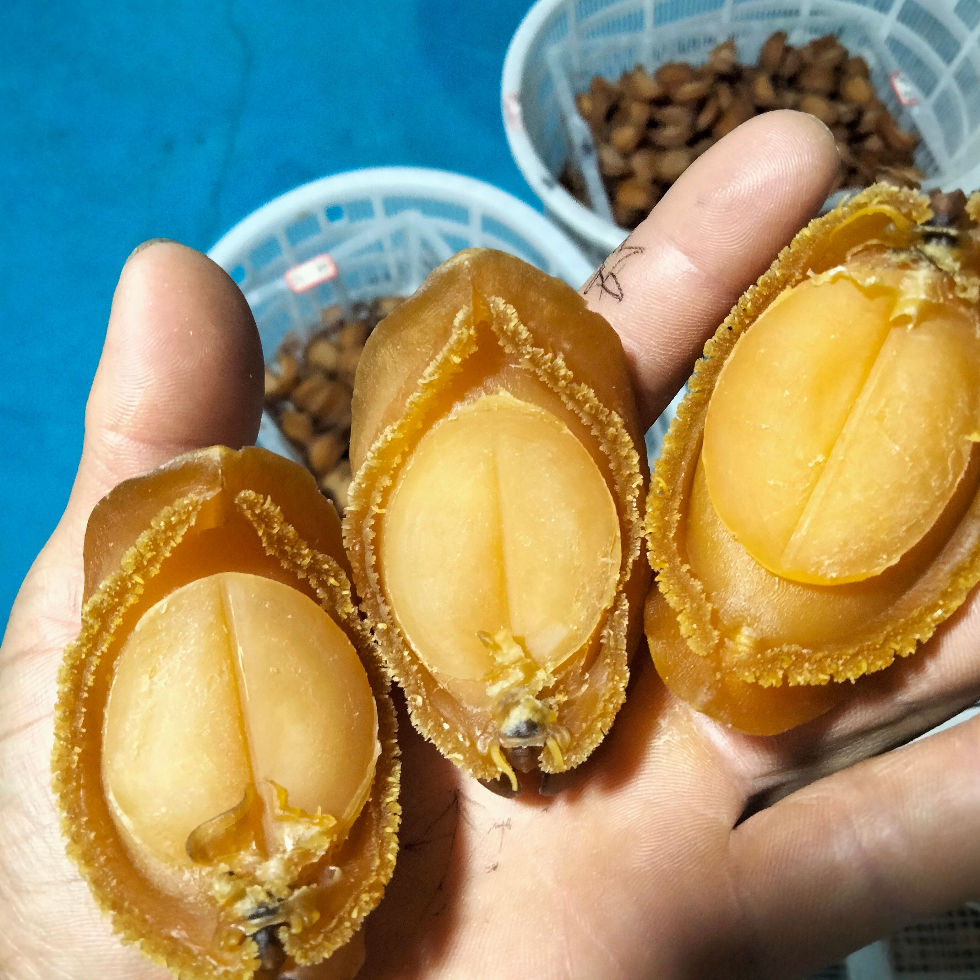 鲍鱼干  皇金鲍，中国人自主研发的骄傲食品。（支持国货谢谢）