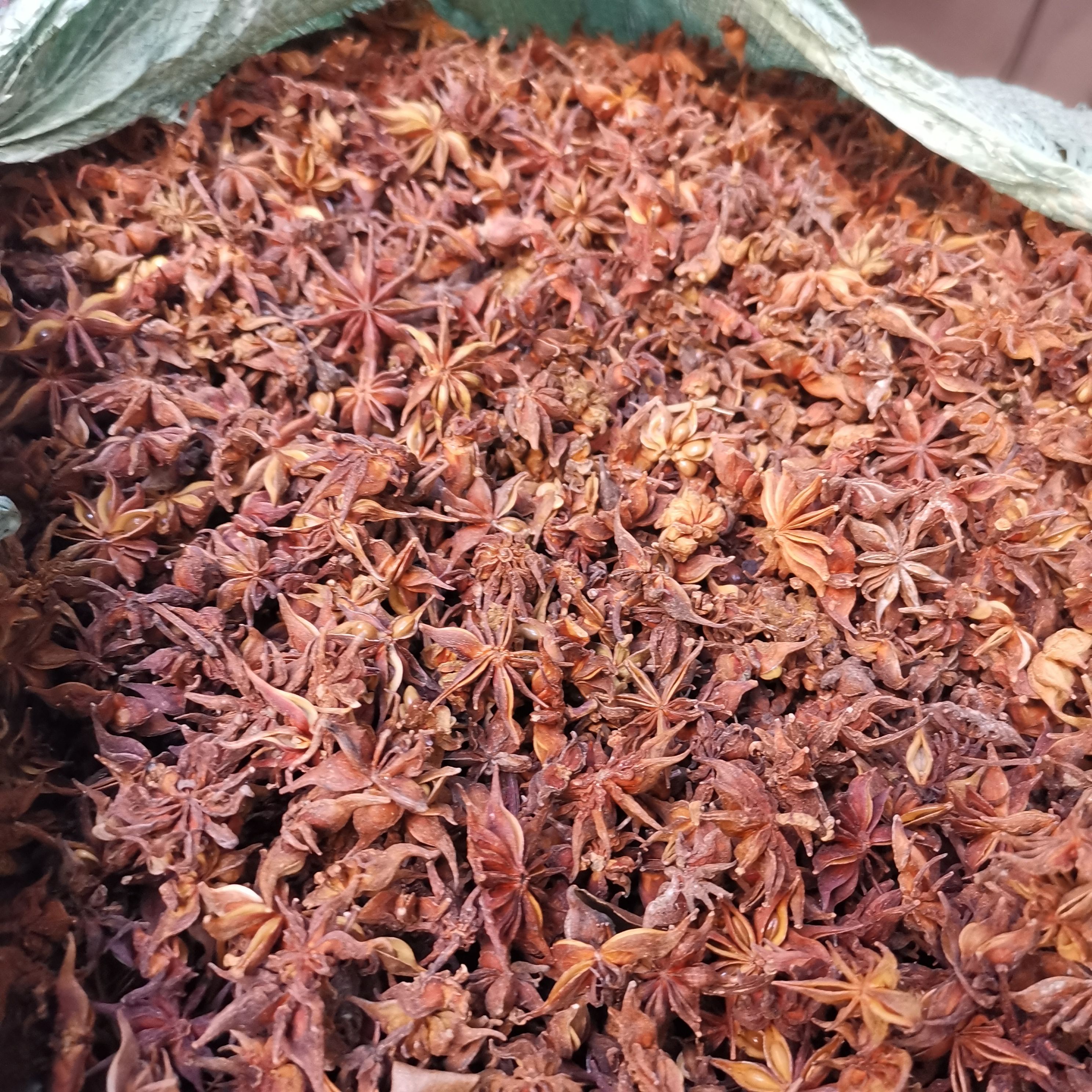 批发山八角 野八角别名莽草新货供应颜色好 量大从优 重在品