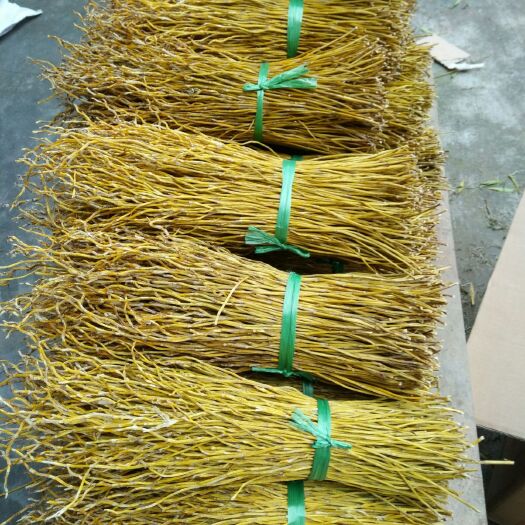 夹江县夹江叠鞘石斛干条