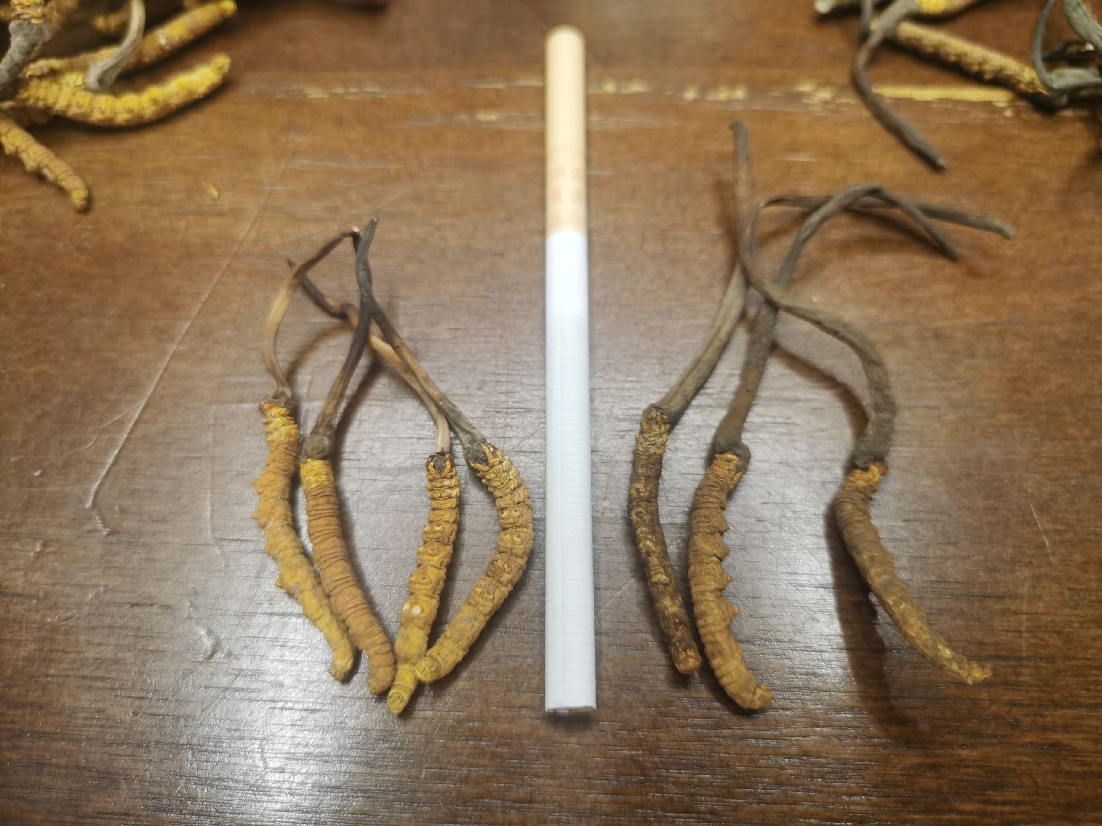 冬虫夏草正品货品干净干度好可配礼盒