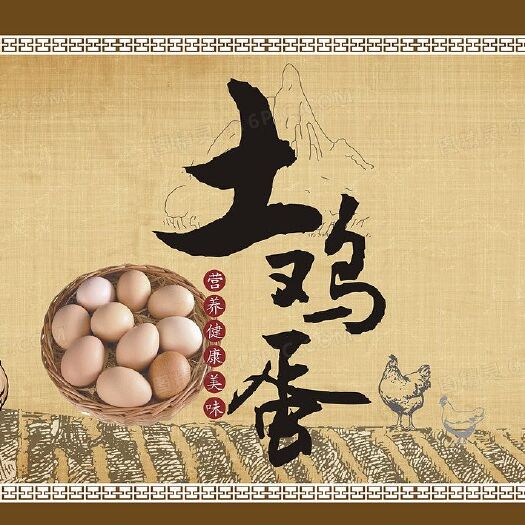 宿迁瓜蒌架下散养虫草土鸡蛋