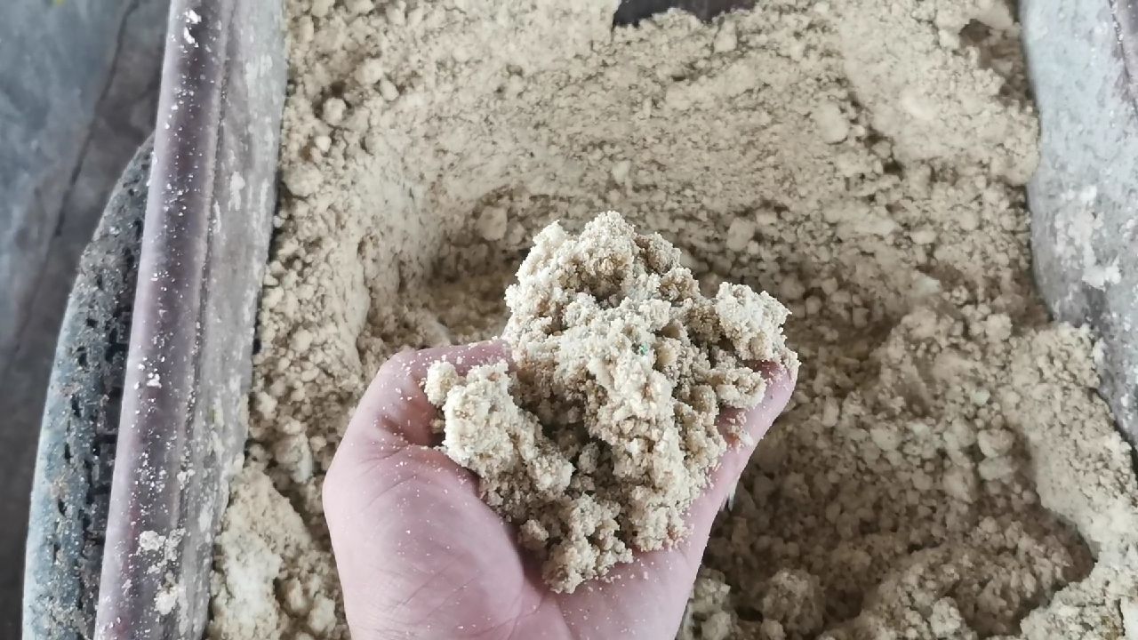 豆渣 豆腐渣发酵养猪，成本更低