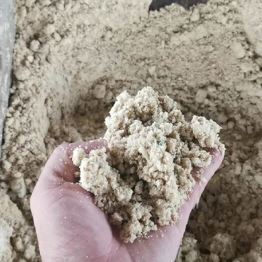 钦州豆渣 豆腐渣发酵养猪，成本更低