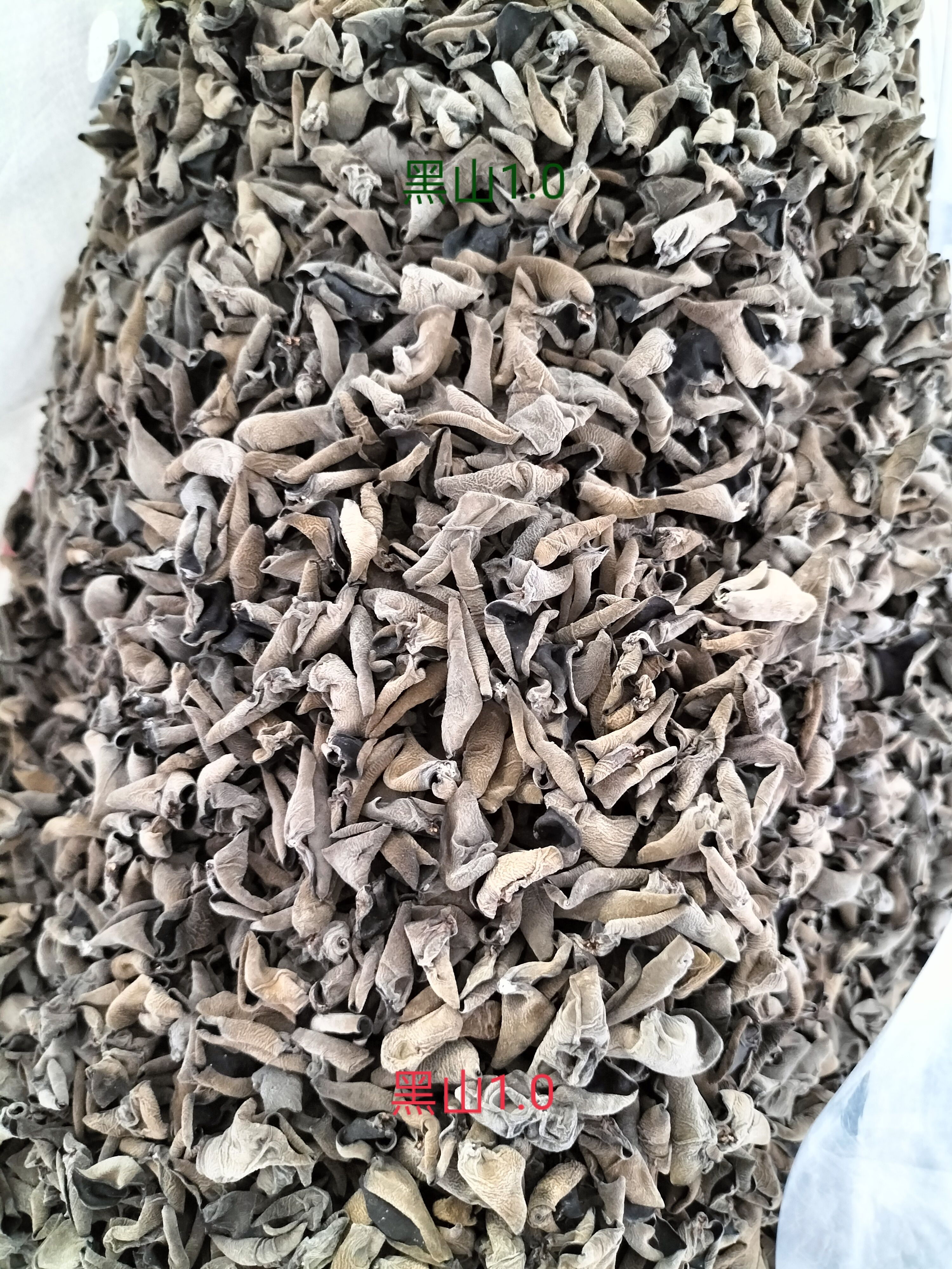黑木耳  东北木耳产地直销，一手货源，包邮到家！
