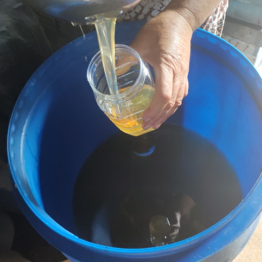 沈阳蜂蜜椴树蜜