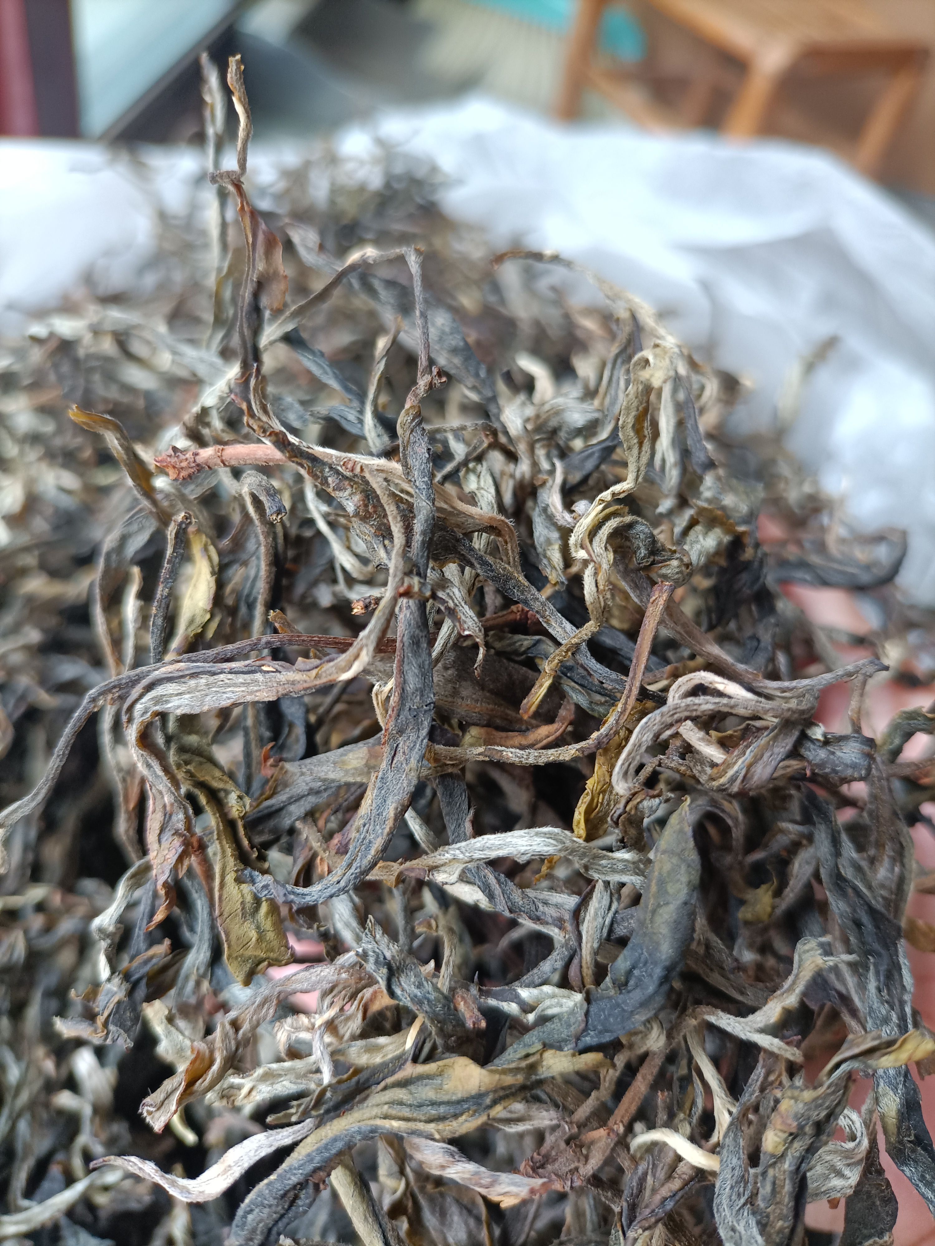 古树茶  藤条茶——古树普洱