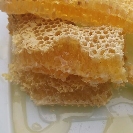 富宁县土蜂蜜