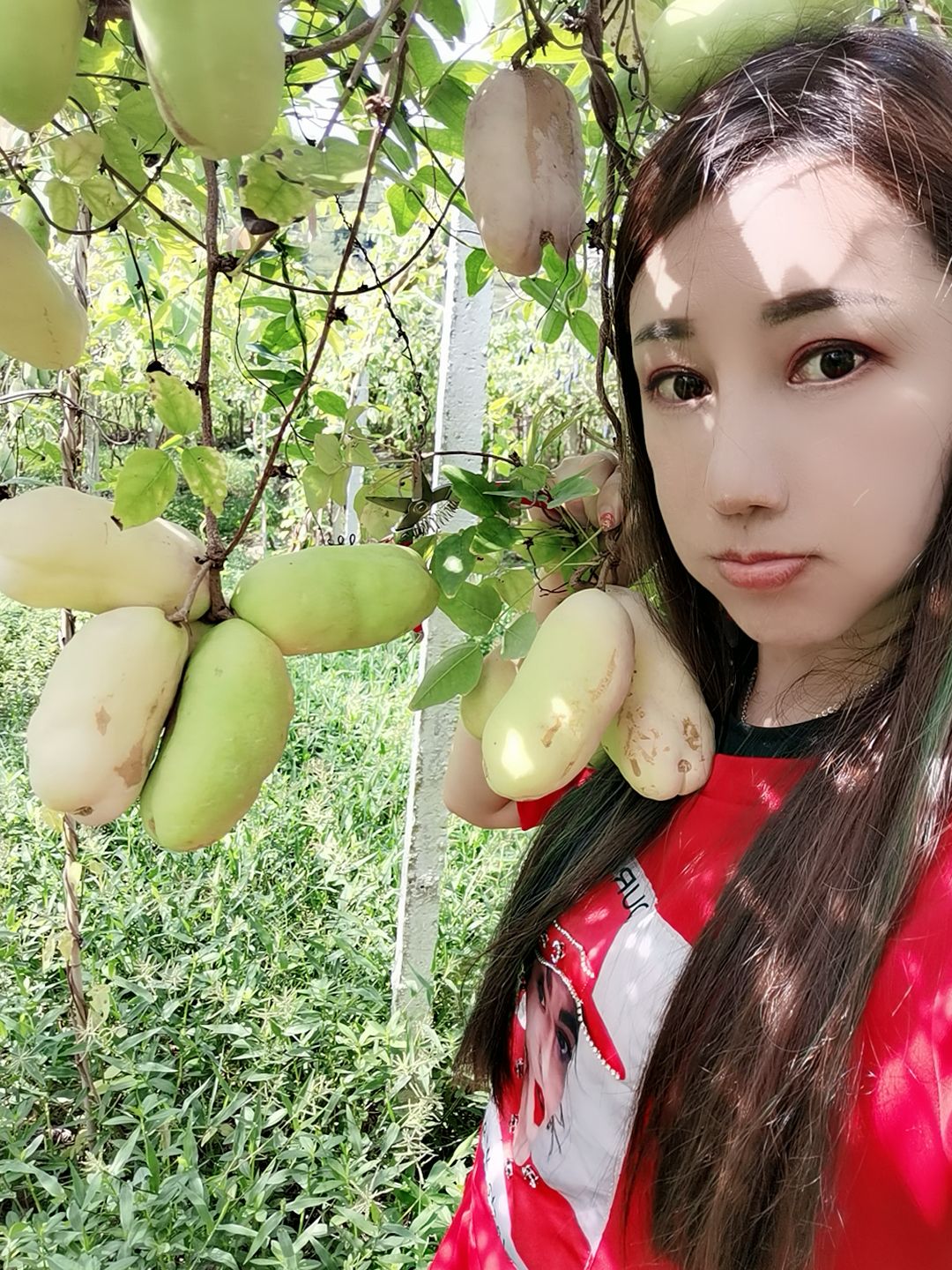  八月瓜今天出五千斤现货，欢迎砸单，支持一件代发