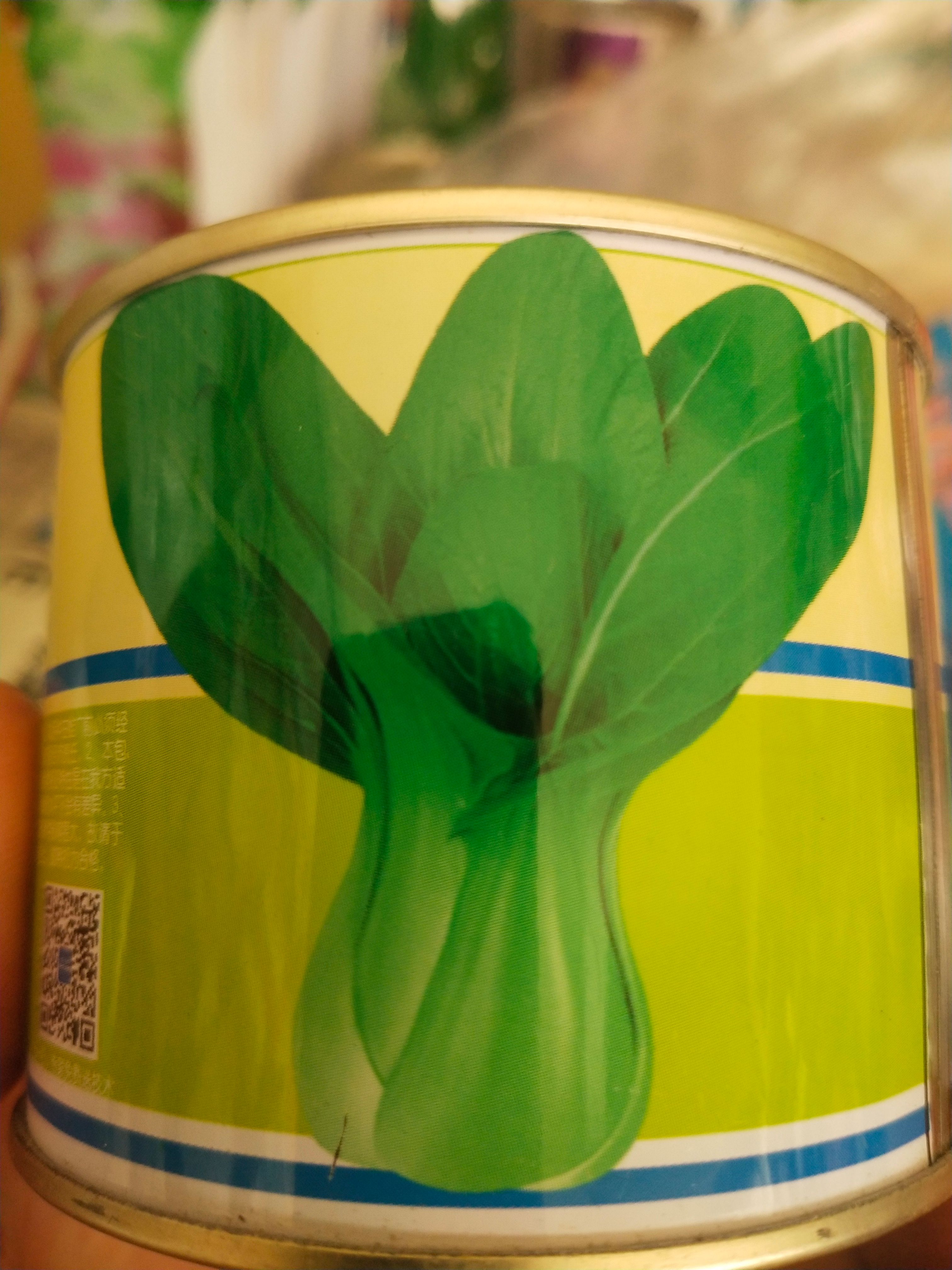 上海青种子  上海青 叶柄叶色深绿/耐寒耐热性均佳/生长速度