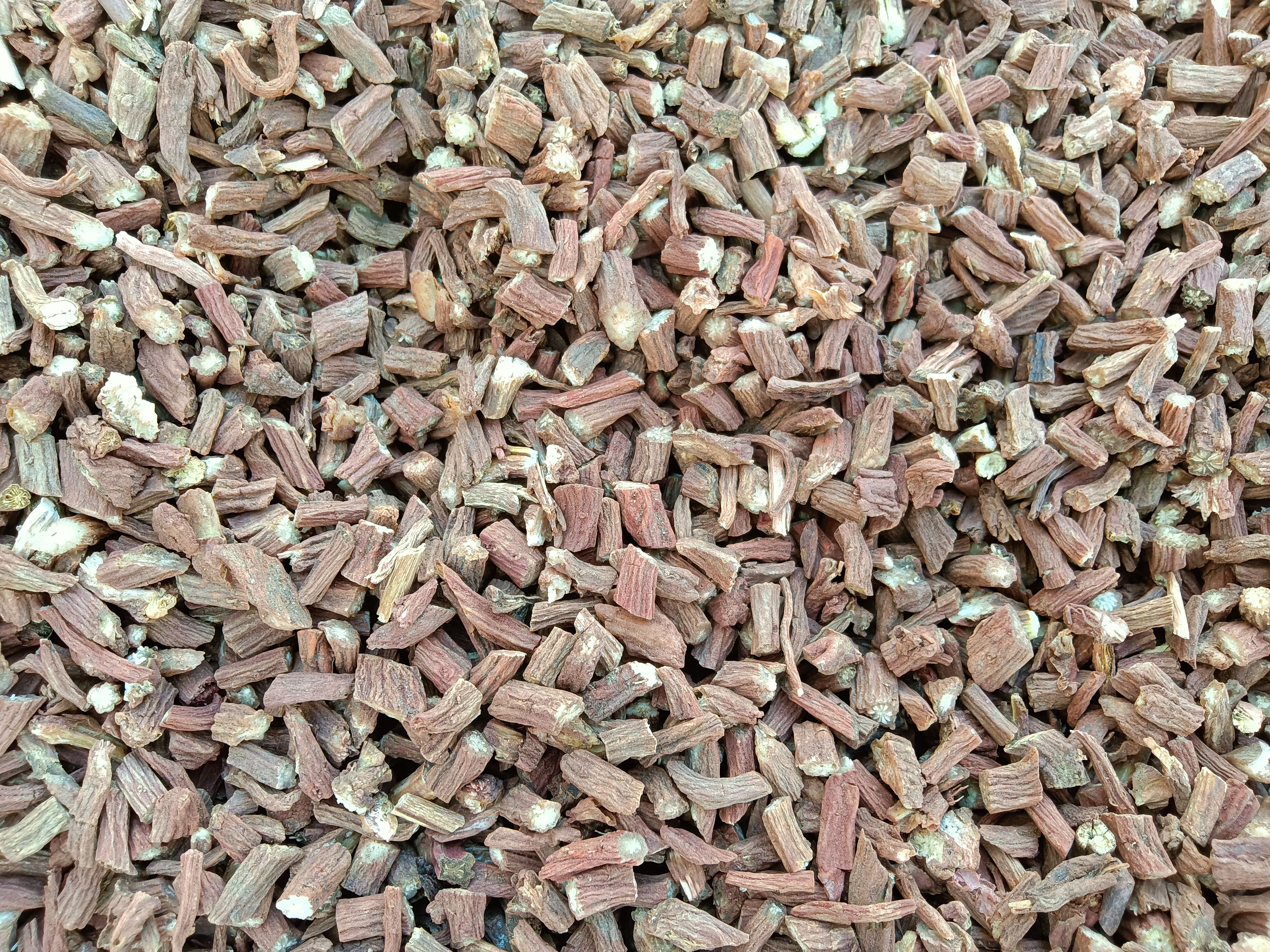 紫花丹参  丹参片丹参段产地直销