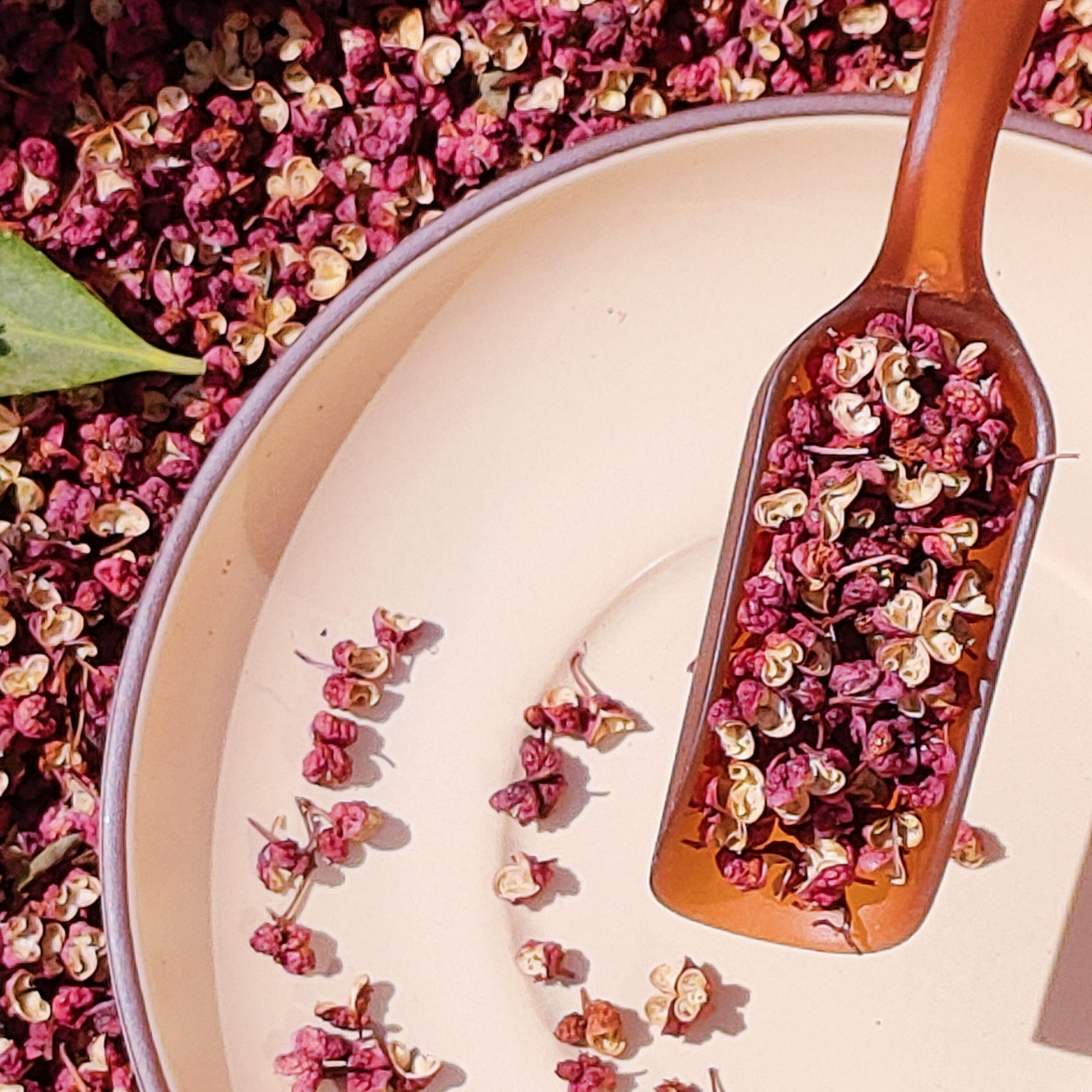 大红袍花椒  甘肃陇南武都包邮2022甘肃伏椒红花椒支持一件