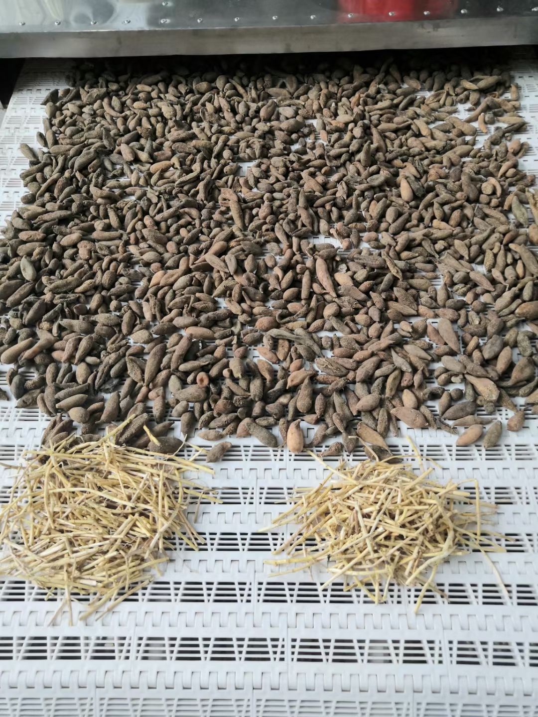 烘干机 微波干燥烘干灭菌设备