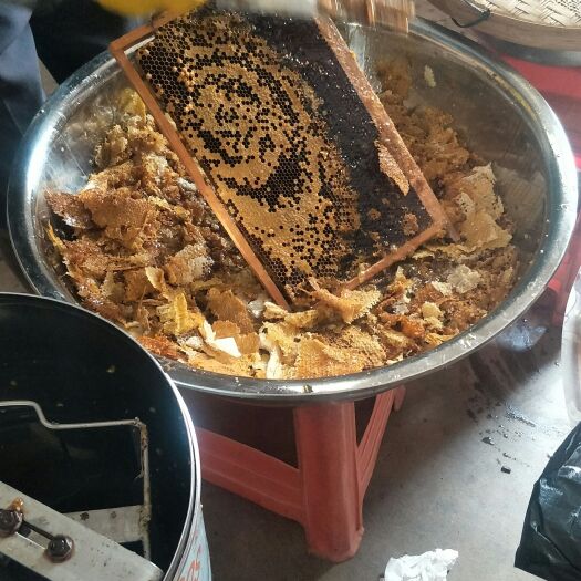 廉江市土蜂蜜  蜂蜜出售