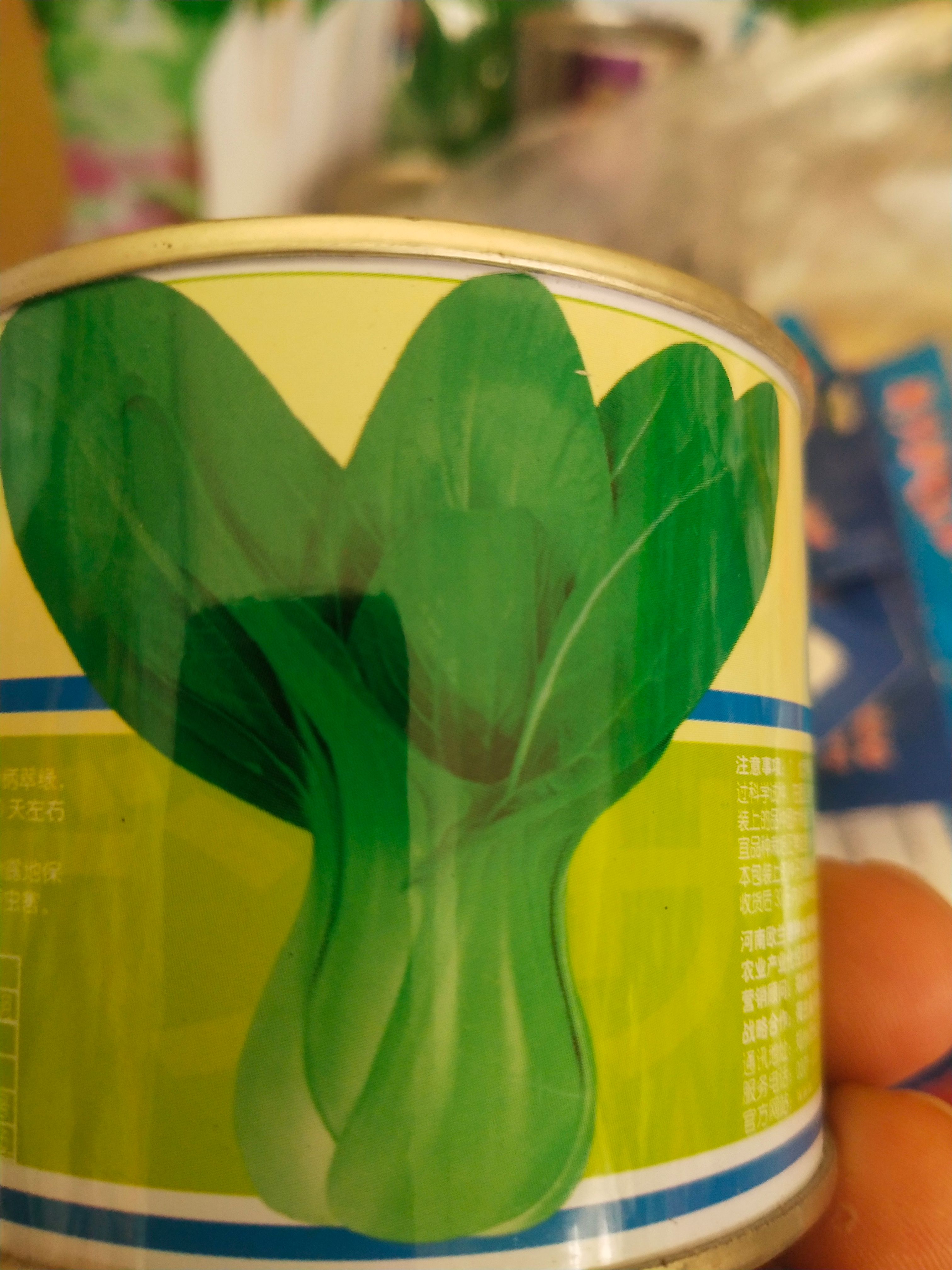 上海青种子  上海青 叶柄叶色深绿/耐寒耐热性均佳/生长速度