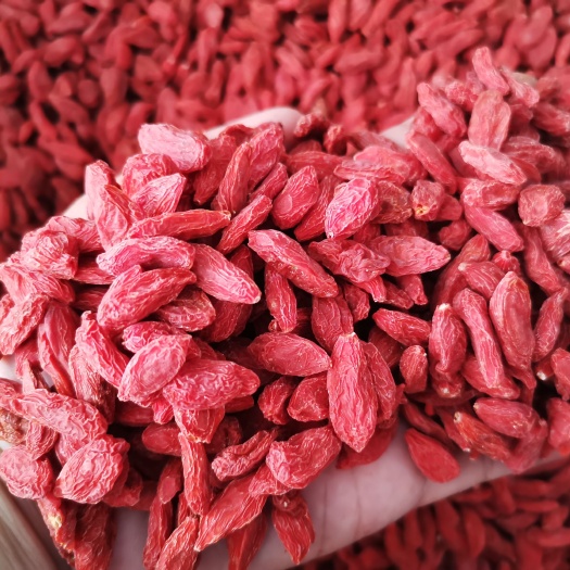 亳州 宁夏枸杞头茬大粒红枸杞现货批发颗粒饱满颜色好
