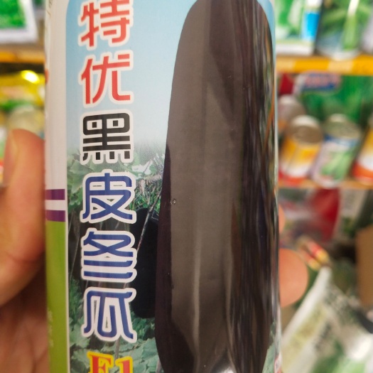 扶沟县黑皮冬瓜种子 侧蔓多，结瓜密，皮黑有光泽 新一代亩1盒