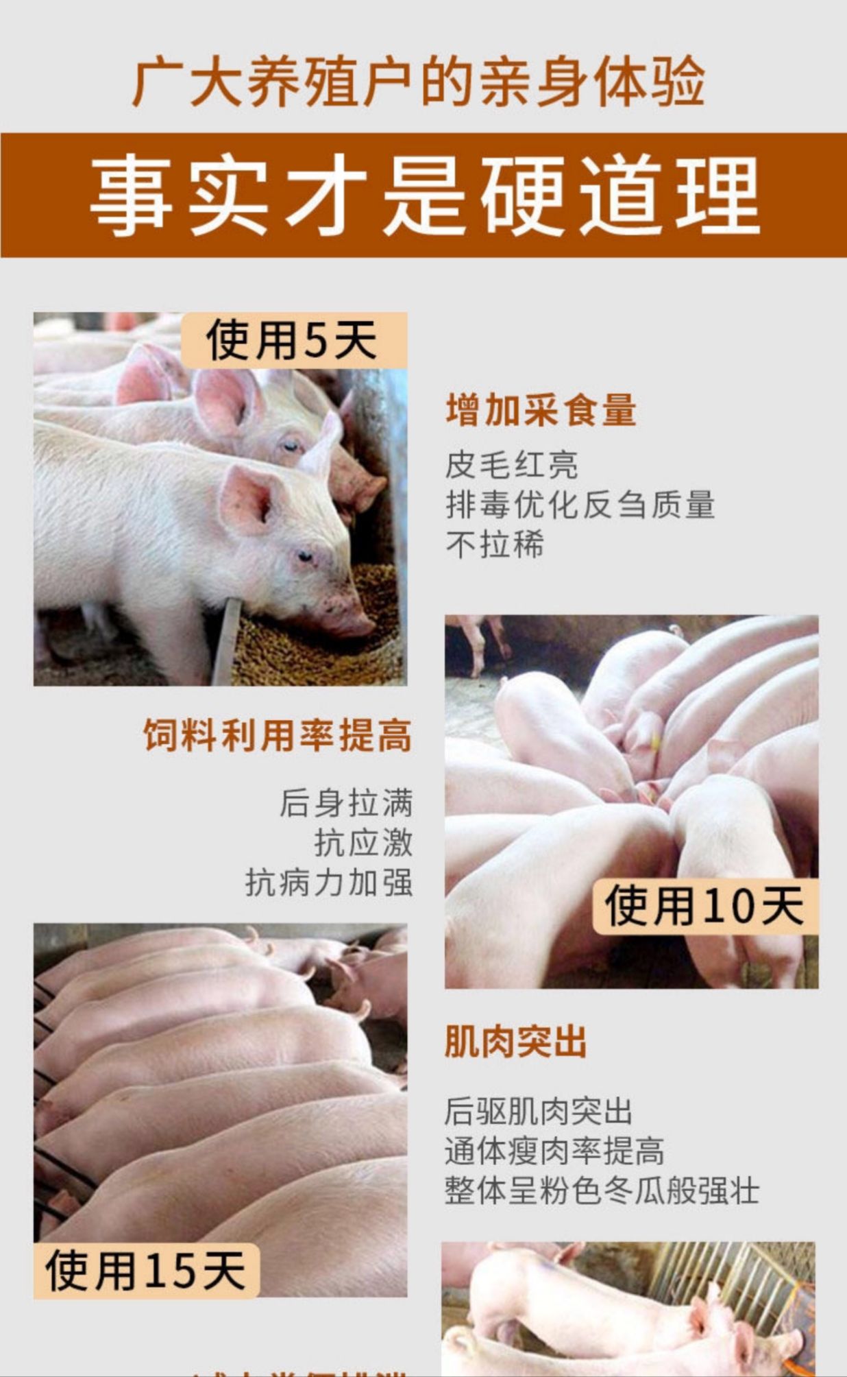 混合型饲料添加剂  催肥促生长倍长来帮忙