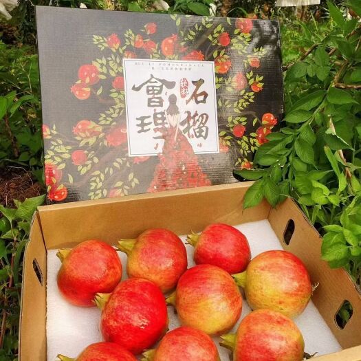 会理市 会理突尼斯软籽石榴