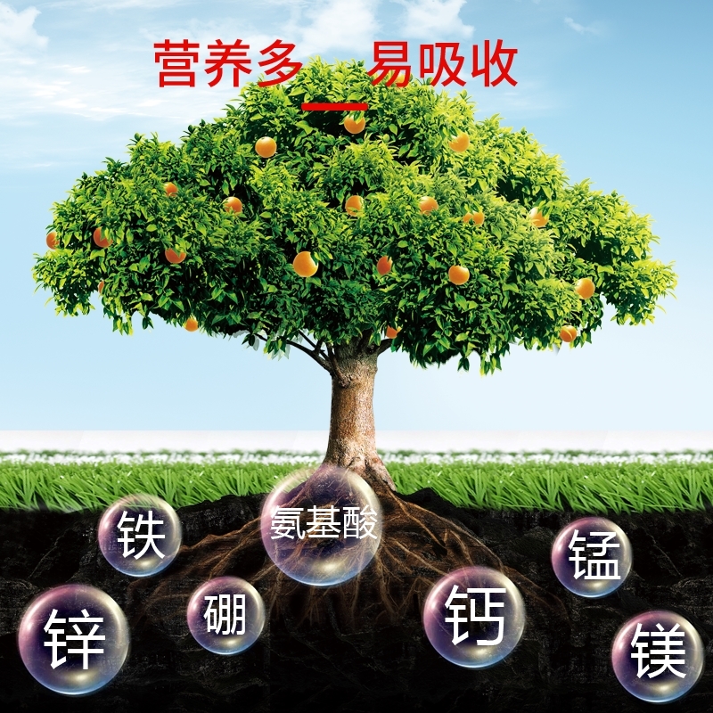 有机水溶肥 氨基酸肥料  营养型氨基酸水溶肥通用型瓜果蔬菜草