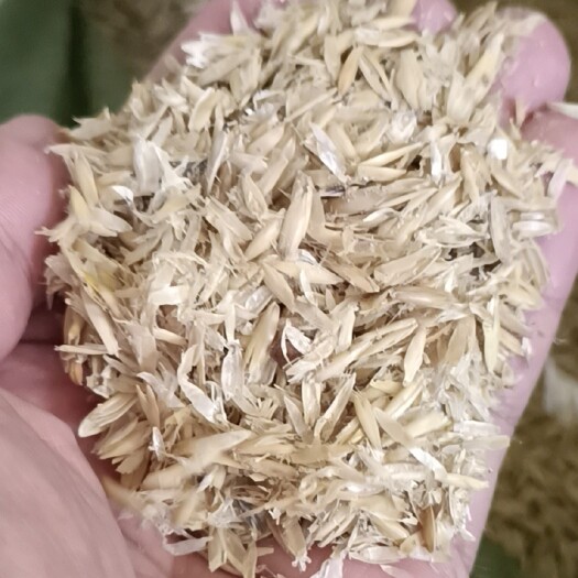 满洲里市燕麦壳