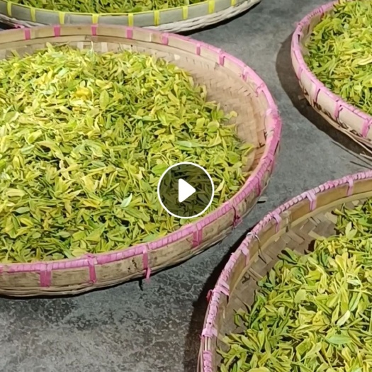 含山县黄金茶 低价处理年前茶叶   黄金芽