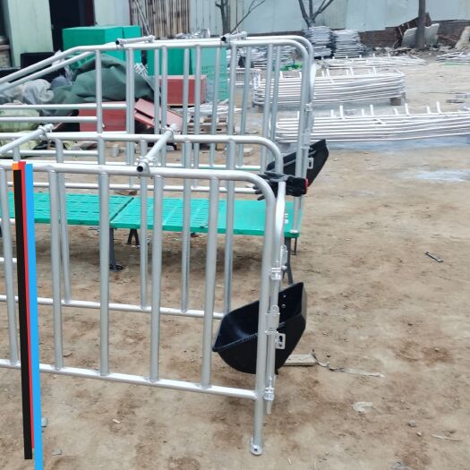 泊头市母猪产床 落地产床