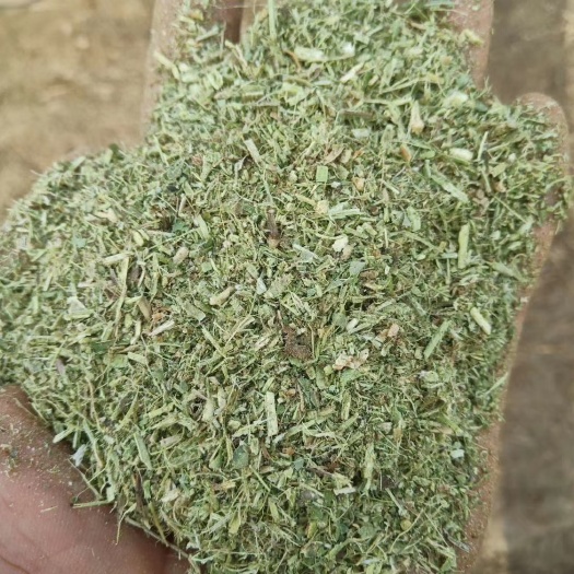 正阳县青干草饲料 适合牛羊马兔等动物喂养的各种花生秧饲料，产地，直销全国发货！