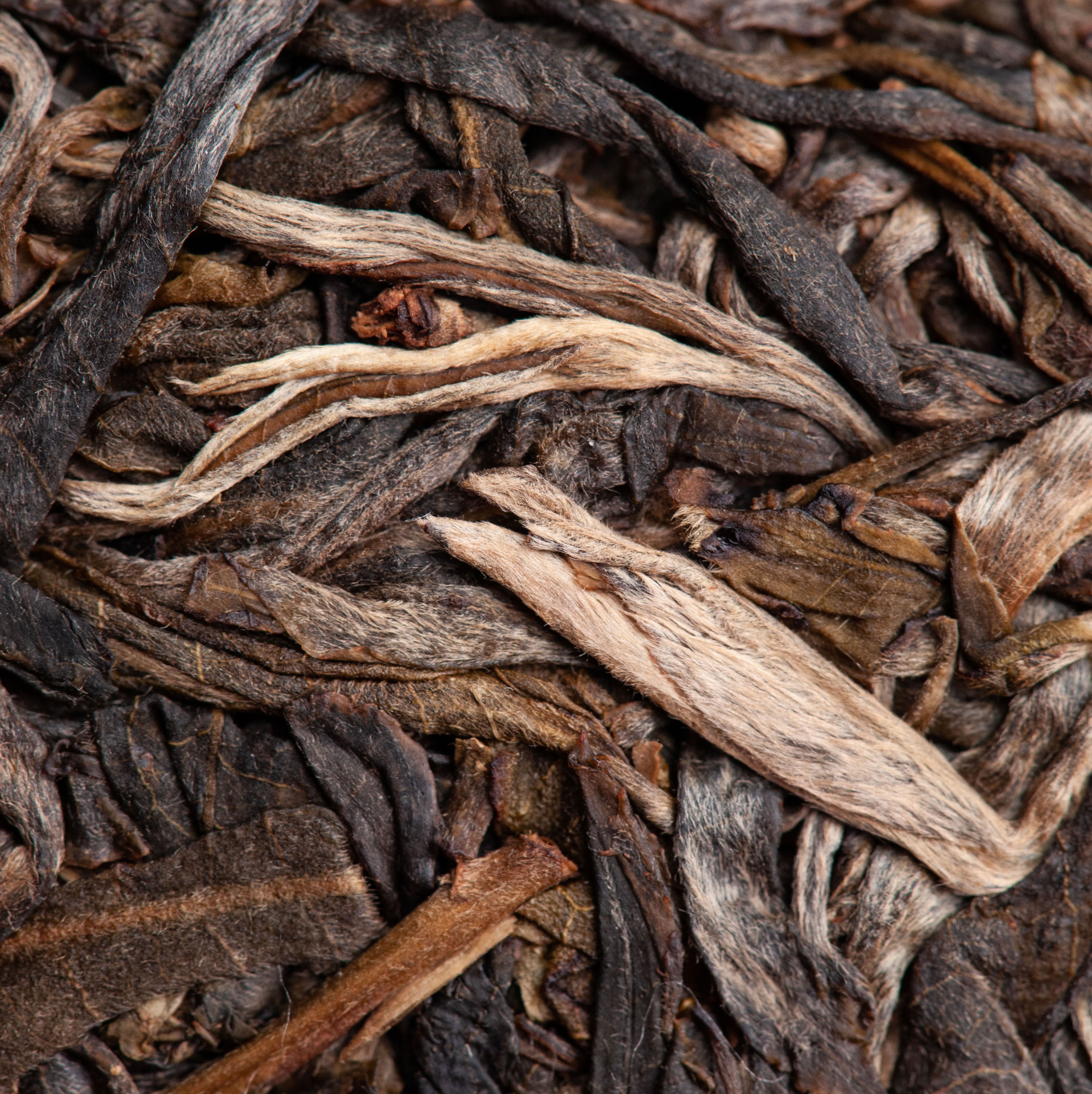  纯料古树茶 2020年头春古树纯料普洱生茶357克/片