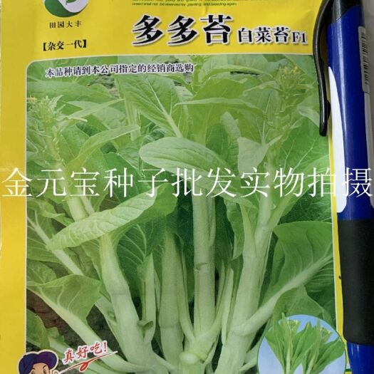 多多苔白菜苔种子叶片浅绿,苔浅绿,主苔粗约1.6cm左右.侧