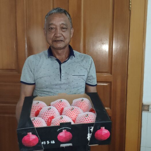 蒙自市蒙自石榴一件批发