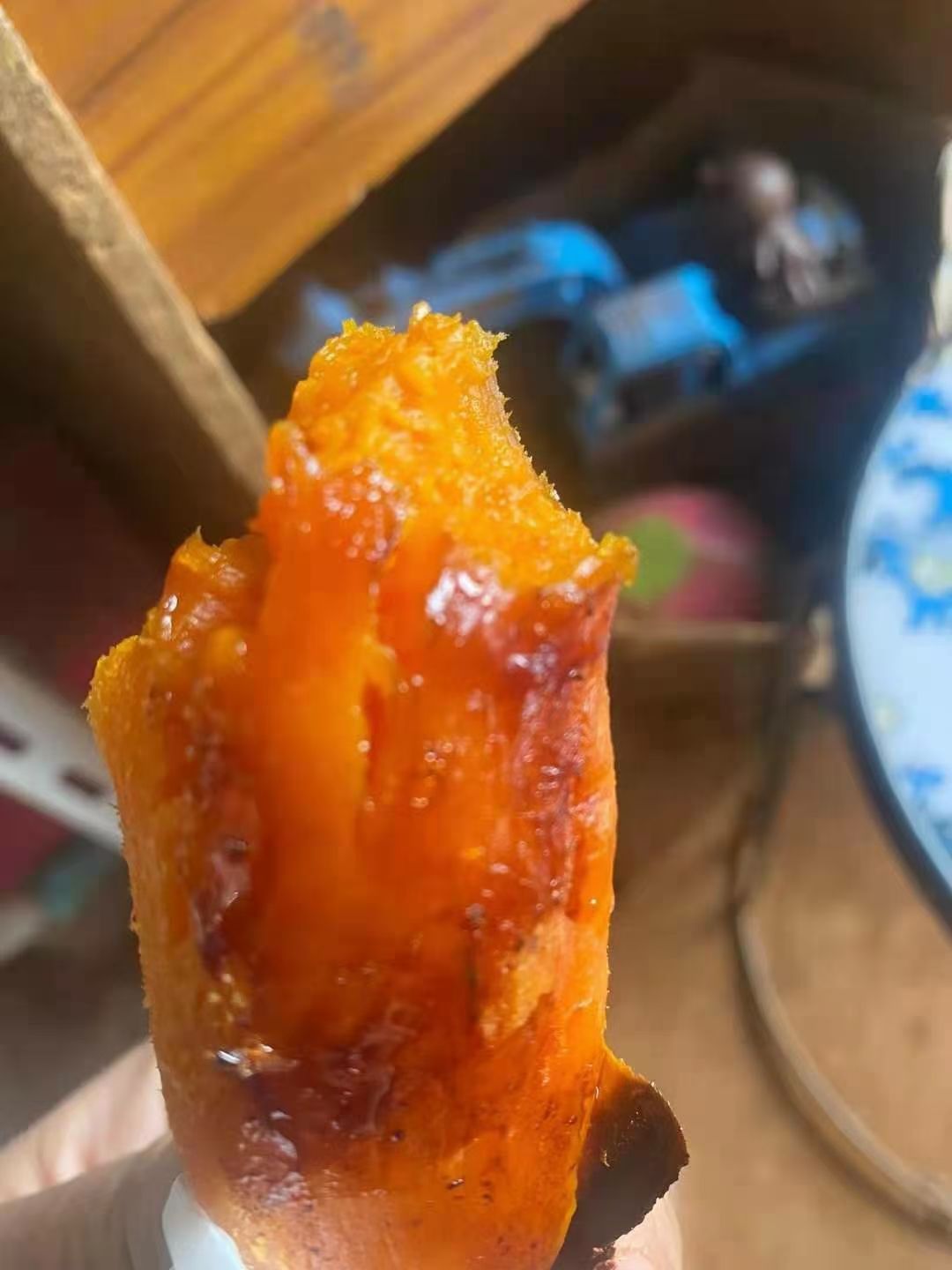 西瓜红红薯苗，红皮王红薯苗