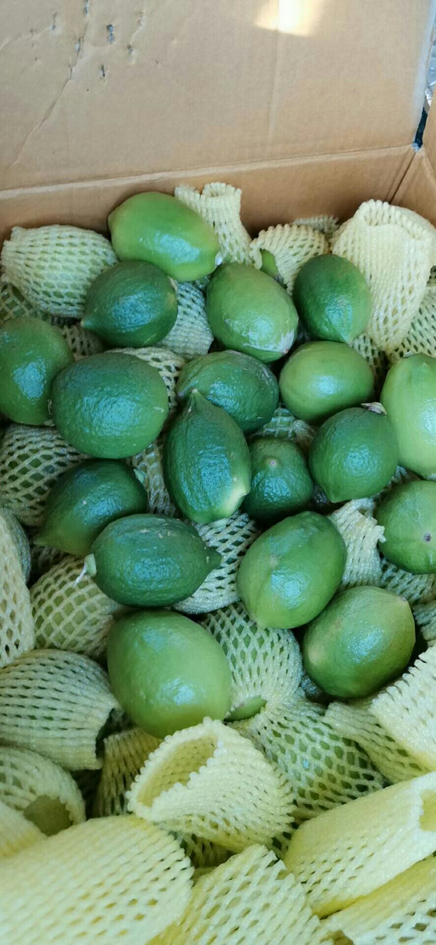 广东香水柠檬，口感好，汁多，味道浓，欢迎大家选购，