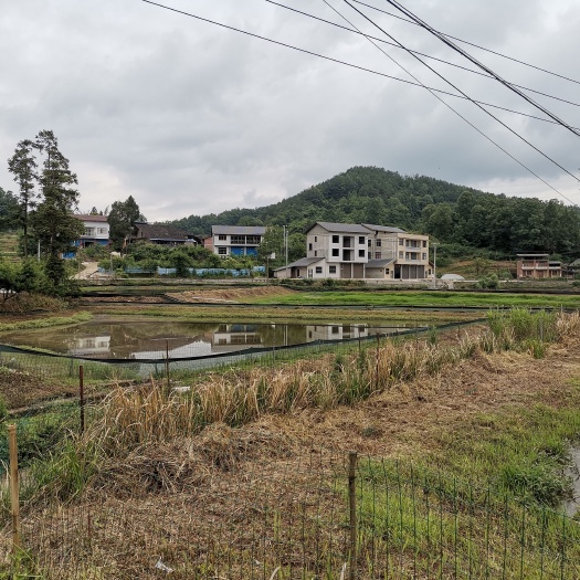 宣汉县坑塘 鱼塘  虾塘   找合伙人